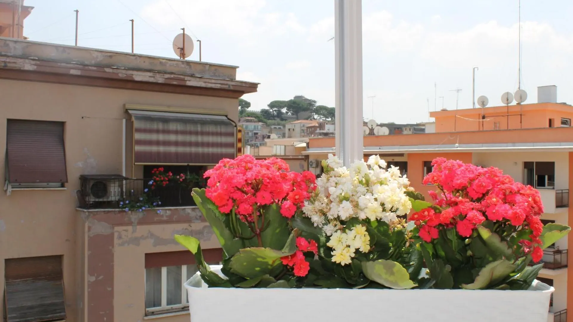 Monnalisa Home Rome Italy